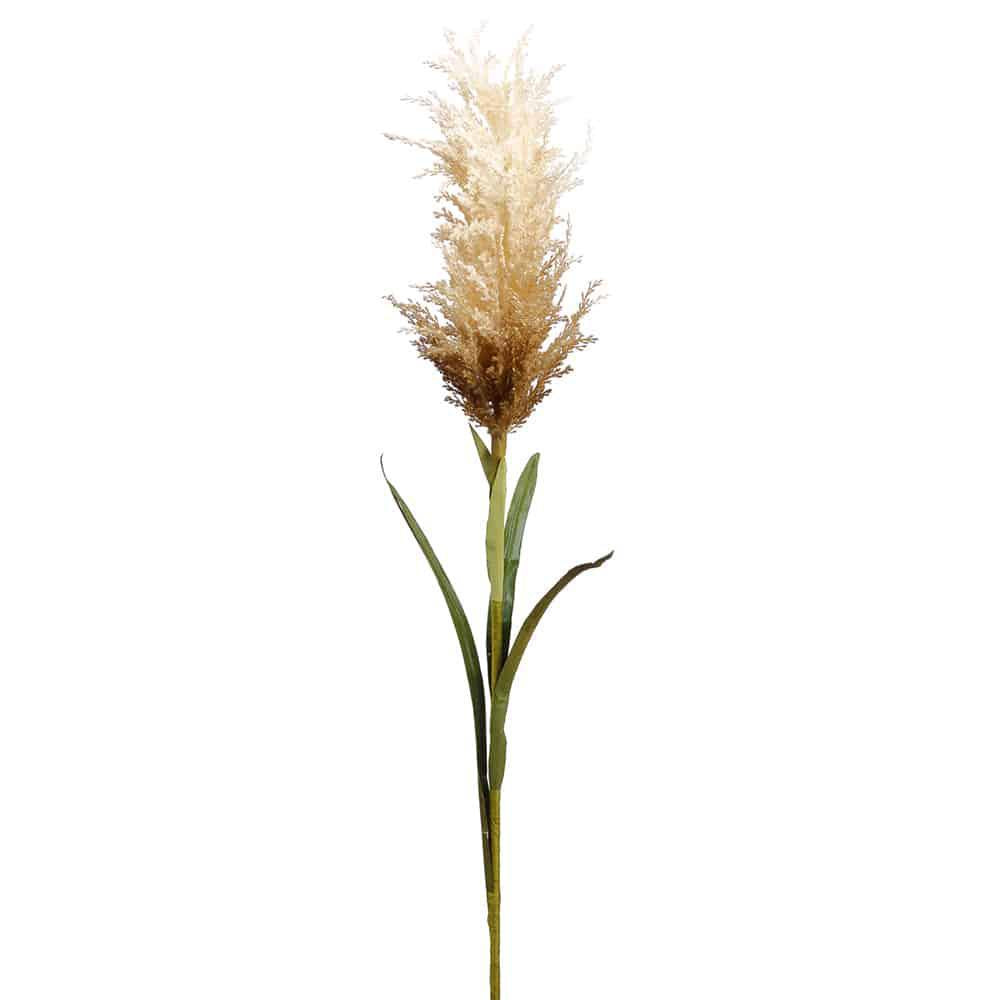 34" Pampas Grass Spray BE