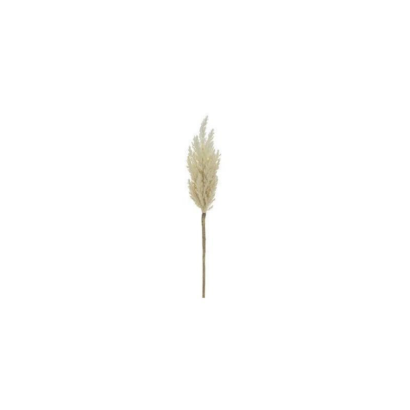 33" Pampas Gray Spray IV