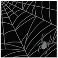 Spiderweb Napkins
