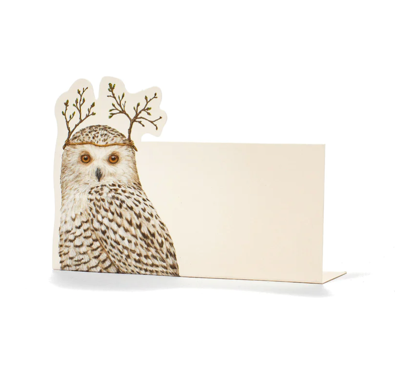 Winter Owl Place Card