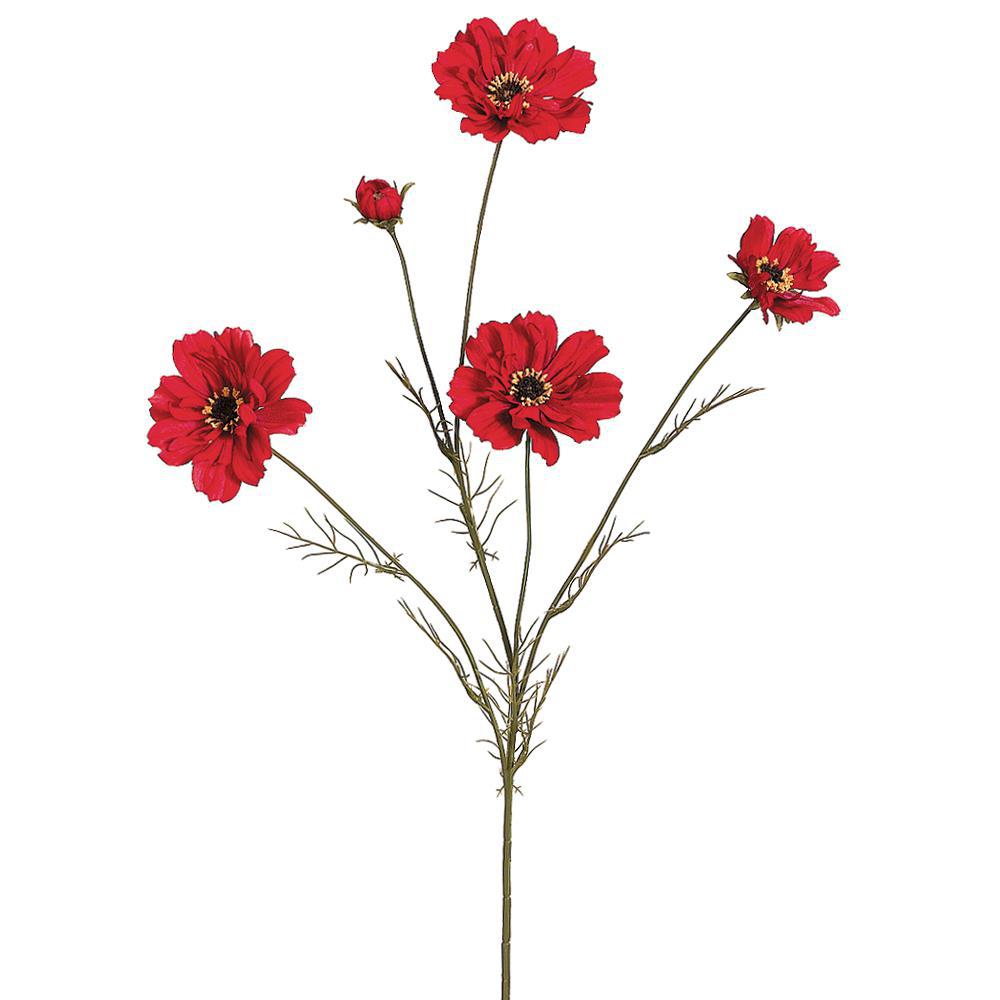 Cosmos Spray Red