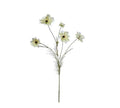 Cosmos Spray Cream