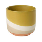 Colorway Pot Neutral