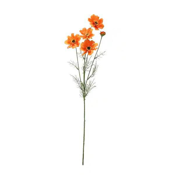 Cosmos Spray Orange