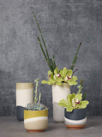 Colorway Pot Neutral