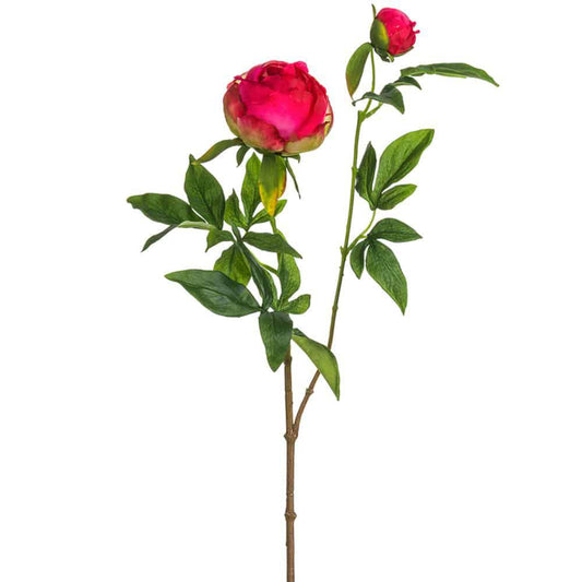 26.5" Peony Spray BT