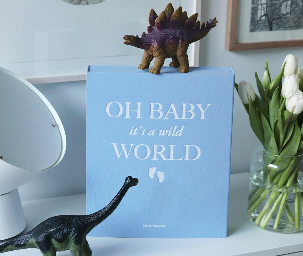 Baby Album Blue