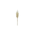 33" Pampas Gray Spray IV