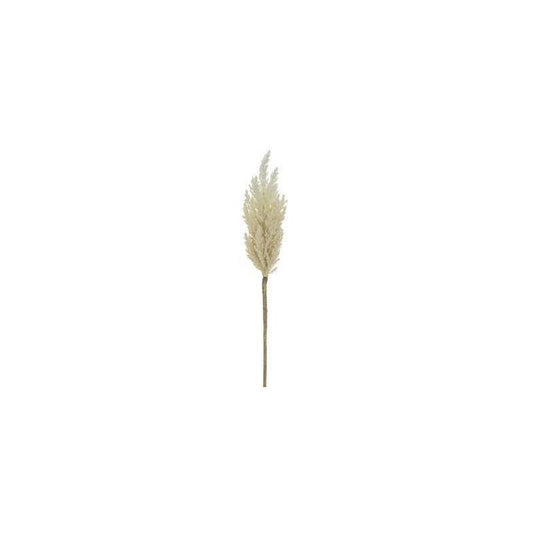 33" Pampas Gray Spray IV